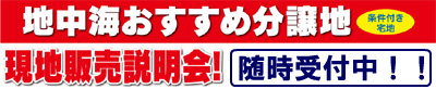 �n���C�������ߕ����n